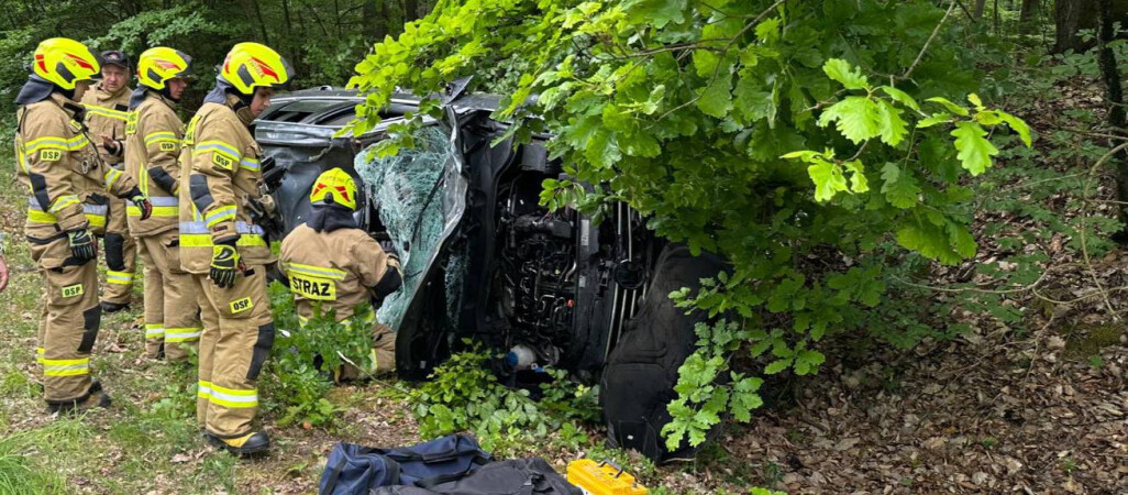 Zderzenie auta osobowego z żubrem