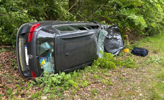 Zderzenie auta osobowego z żubrem