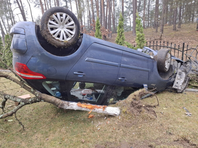 Pijani kierowcy nie próżnują... - grafika