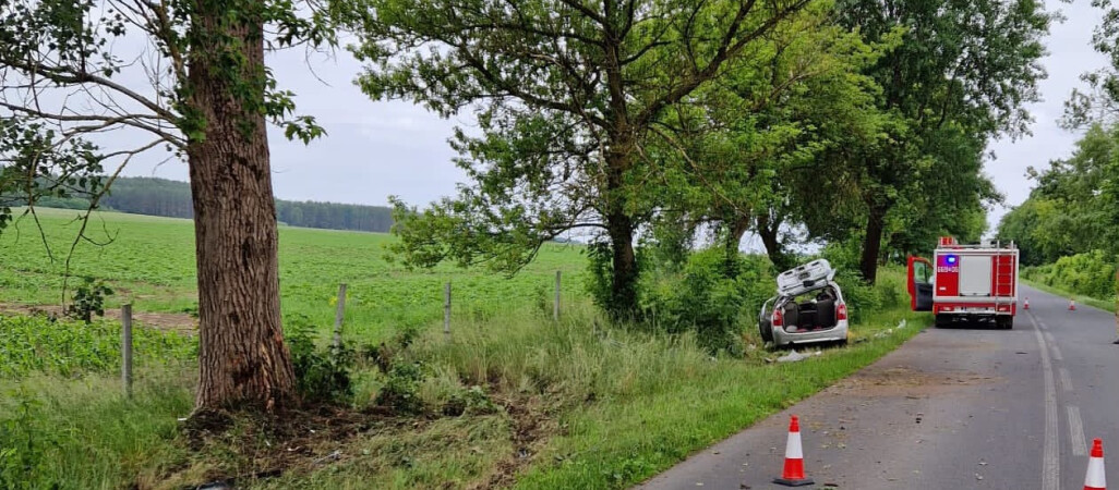 Kobieta wjechała w drzewo. Droga była zablokowana przez 5 godzin
