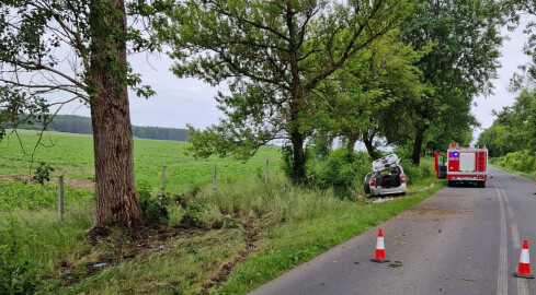 Kobieta wjechała w drzewo. Droga była zablokowana przez 5 godzin - grafika