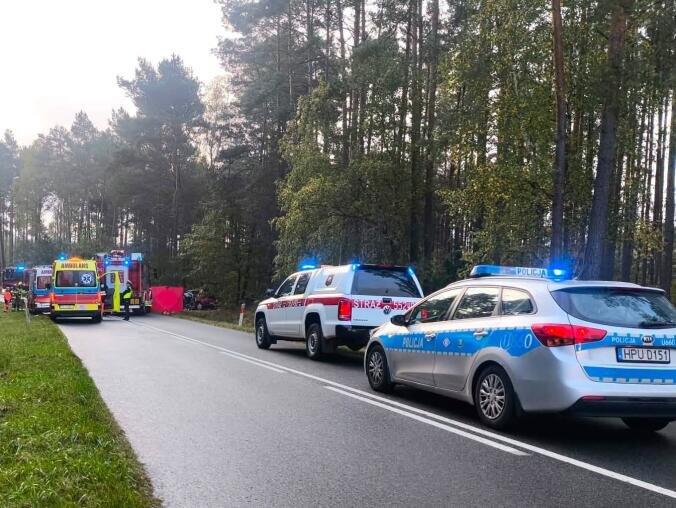 Śmiertelny wypadek pod Piłą - grafika