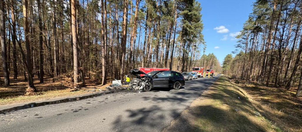 Śmiertelny wypadek. Skoda i Renault zderzyły się czołowo