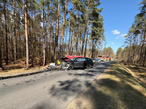 Śmiertelny wypadek. Skoda i Renault zderzyły się czołowo - grafika