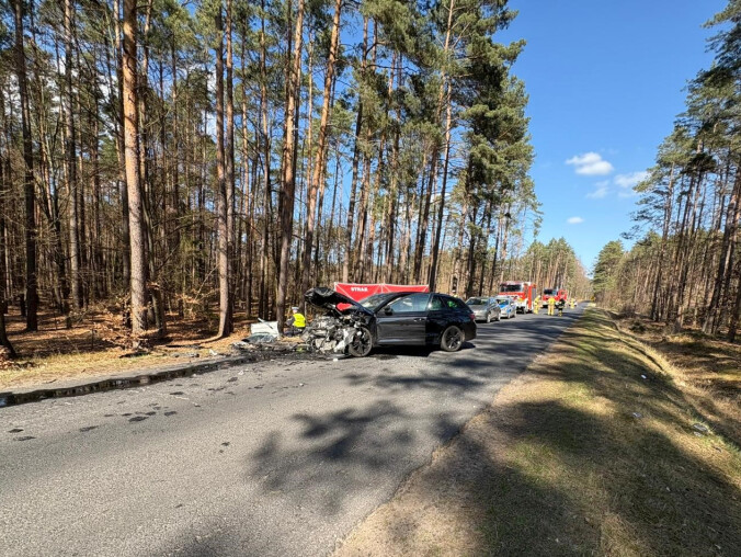 Śmiertelny wypadek. Skoda i Renault zderzyły się czołowo - grafika