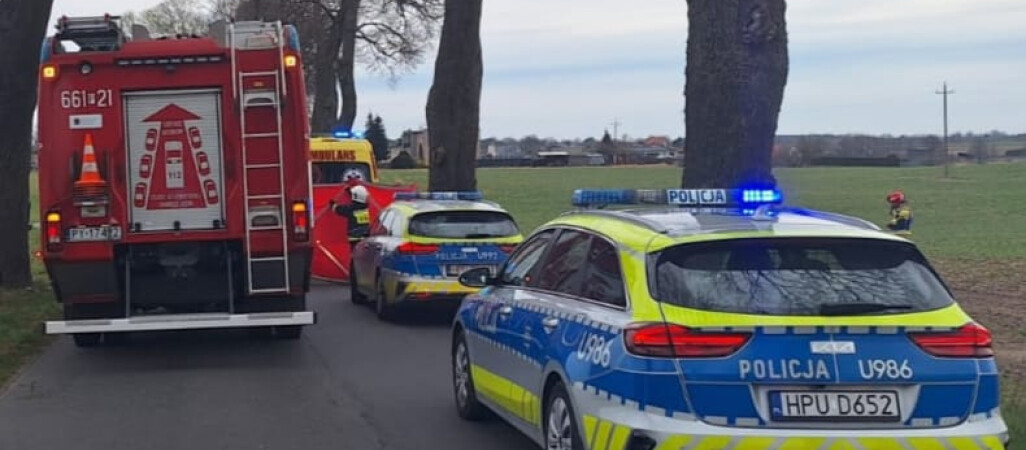 Śmiertelny wypadek. Kierowca wjechał w drzewo