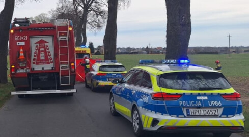 Śmiertelny wypadek. Kierowca wjechał w drzewo - grafika