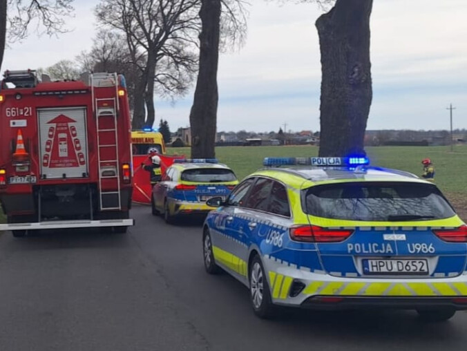 Śmiertelny wypadek. Kierowca wjechał w drzewo - grafika