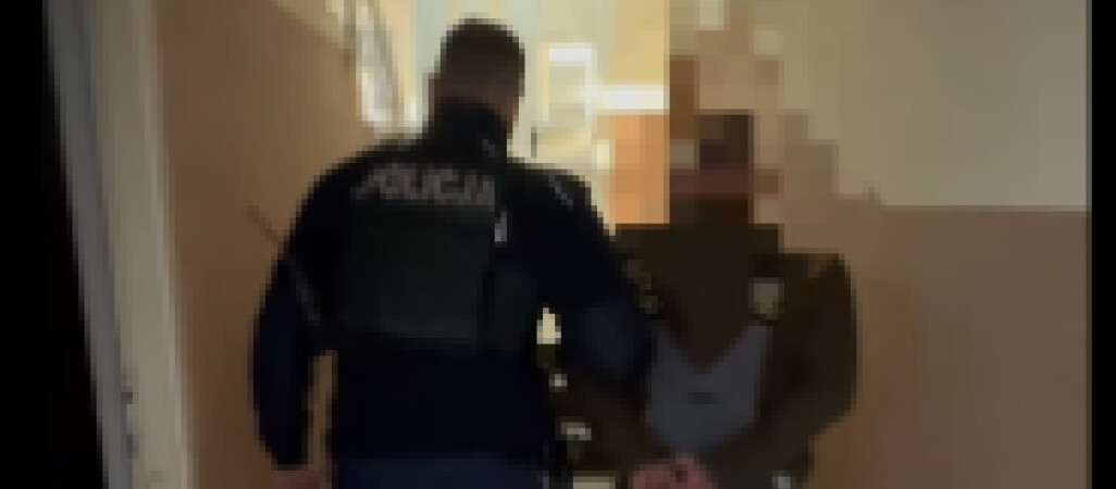 4 promile za kółkiem! Kierowca Forda nie miał prawa jazdy - VIDEO