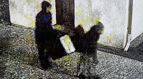 Ukradli i szybko wpadli - grafika