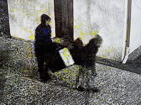 Ukradli i szybko wpadli - grafika