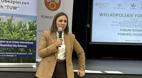 Anna Bryłka w Pile - grafika