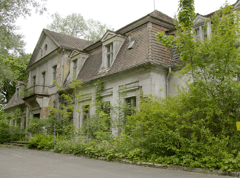 80 milionów zł. Tyle potrzeba, by uratować ten pałac - grafika