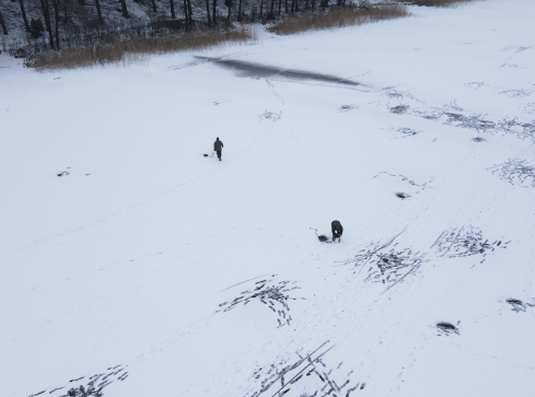 Niebezpieczna zabawa na lodzie - VIDEO - grafika