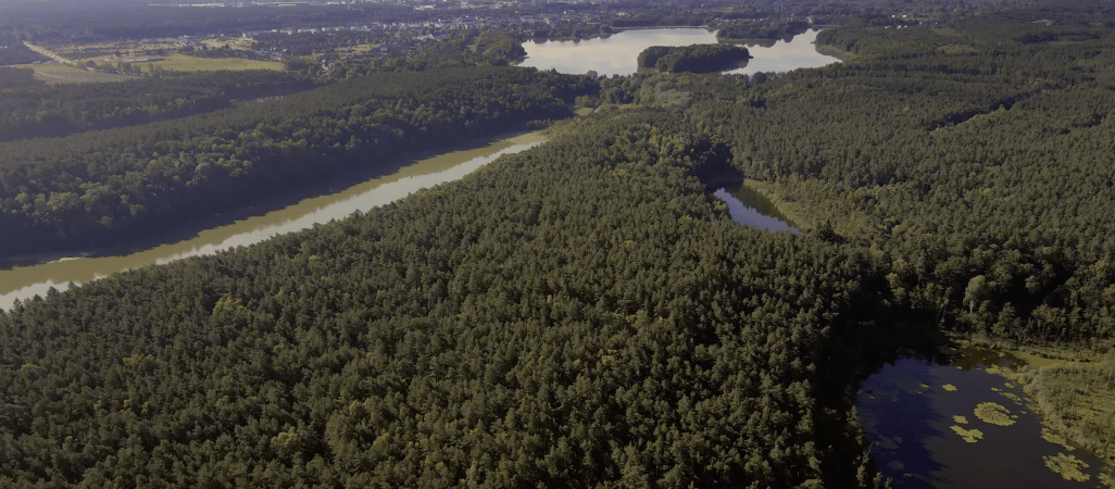 Prawdziwa perełka tuż za Piłą