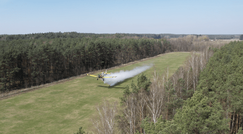 Mają 5 minut na start, gdy zaczyna palić się las - grafika