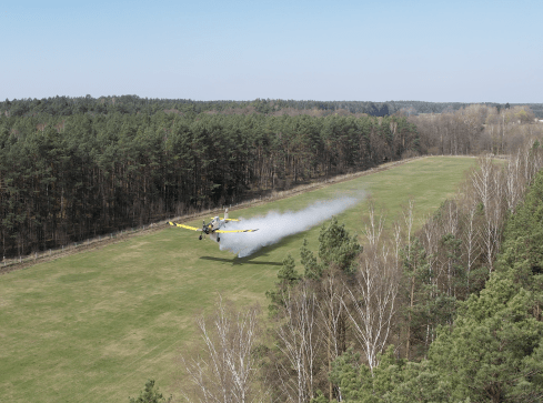 Mają 5 minut na start, gdy zaczyna palić się las - grafika