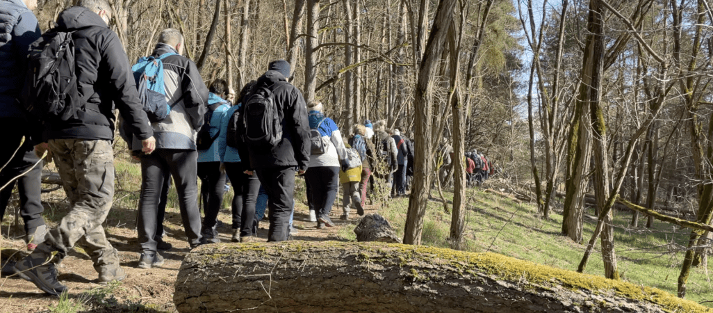 Na moczary i do lasu. Dlaczego warto?