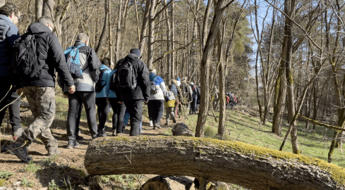 Na moczary i do lasu. Dlaczego warto? - grafika