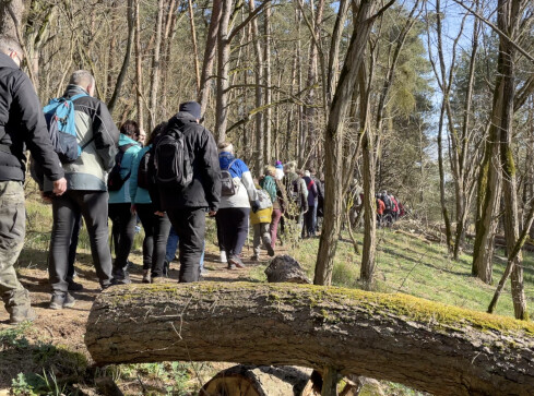 Na moczary i do lasu. Dlaczego warto? - grafika