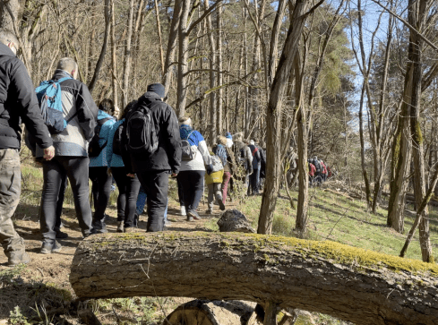Na moczary i do lasu. Dlaczego warto? - grafika