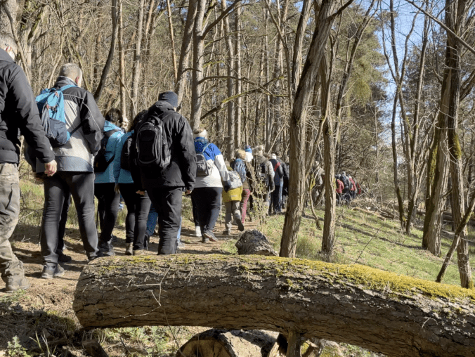 Na moczary i do lasu. Dlaczego warto? - grafika