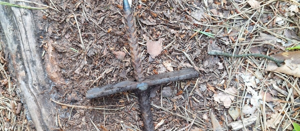 Kolce na drogach leśnych. Szukają sprawcy