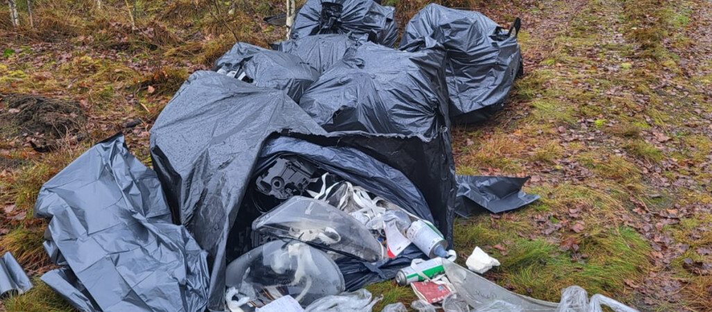 Śmieci w lesie