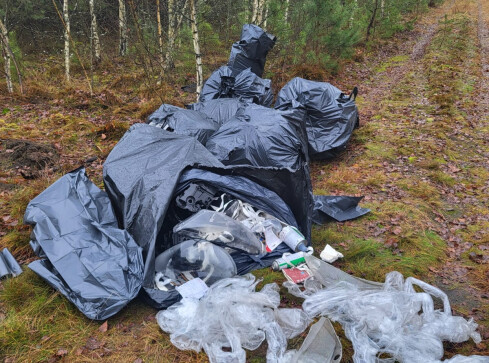 Śmieci w lesie - grafika