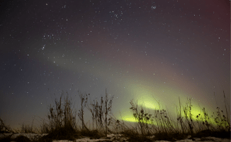 Zorza polarna nad Piłą