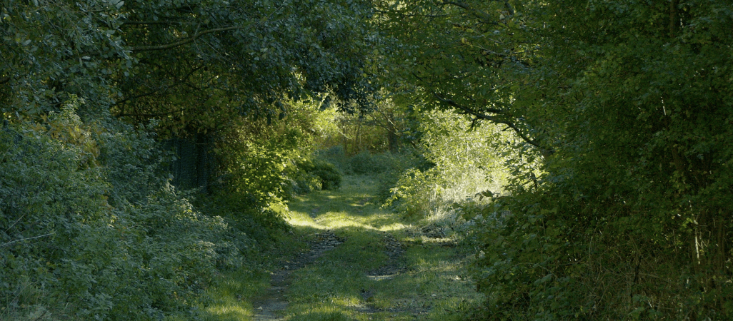 Dolinka Miłości. Będzie ładniej czy romantyczniej?