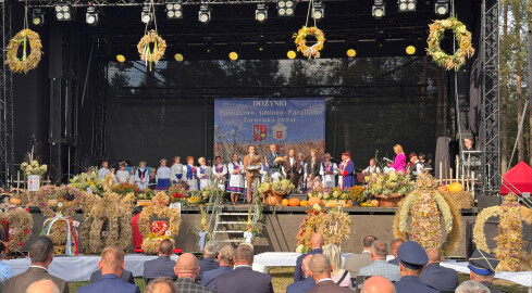 Dożynki złotowskie - grafika