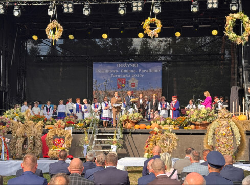 Dożynki złotowskie - grafika