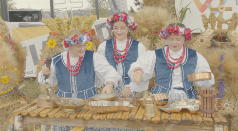 Dożynki subregionalne w Gębicach - grafika