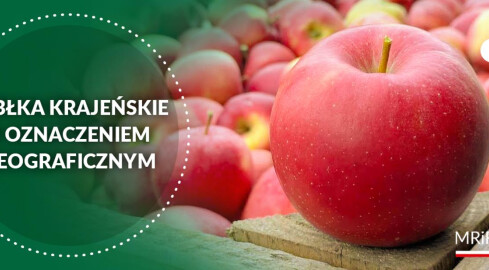 Jabłka krajeńskie pod unijną ochroną - grafika