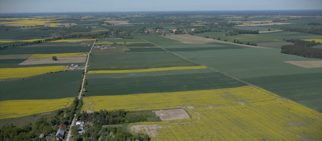 Spore straty u rolników
