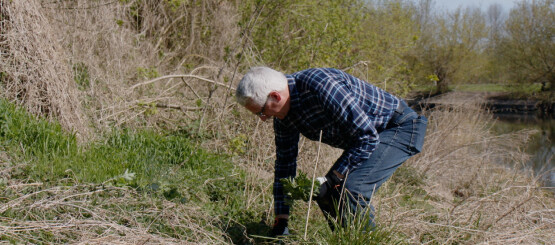 Przejdź do artykułu na Asta24.