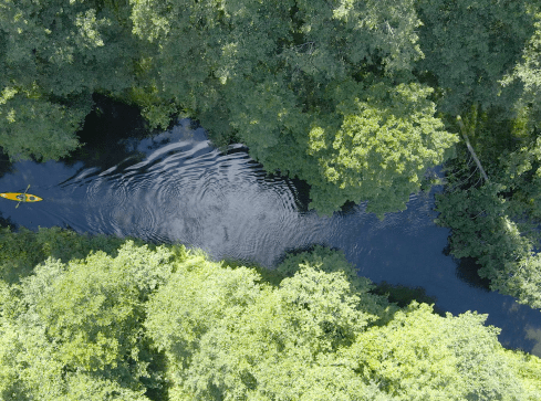 Trzy nasze rzeki na liście najczystszych w Polsce - grafika