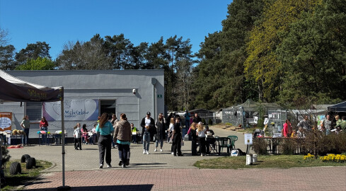 Drzwi Otwarte w pilskim schronisku dla zwierząt - grafika