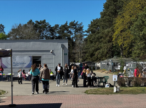 Drzwi Otwarte w pilskim schronisku dla zwierząt - grafika