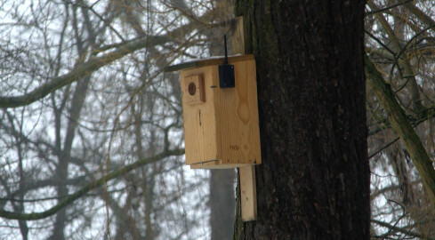 Pomóż ptakom i zgłoś się po budkę - grafika