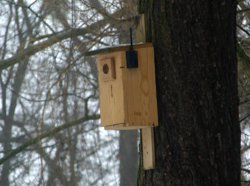 Pomóż ptakom i zgłoś się po budkę - grafika