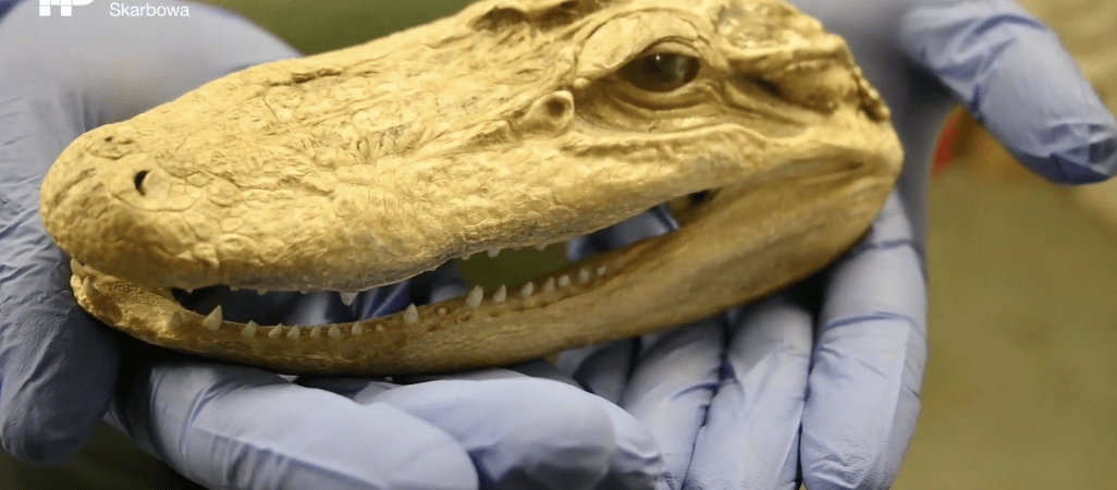 Zakazane pamiątki: sprawdź, zanim spakujesz!