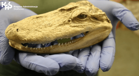 Zakazane pamiątki: sprawdź, zanim spakujesz! - grafika