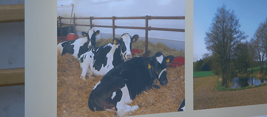 Pryszczyca coraz bliżej polskich granic