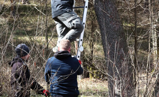 W lesie pojawiły się budki dla mopków i nocków