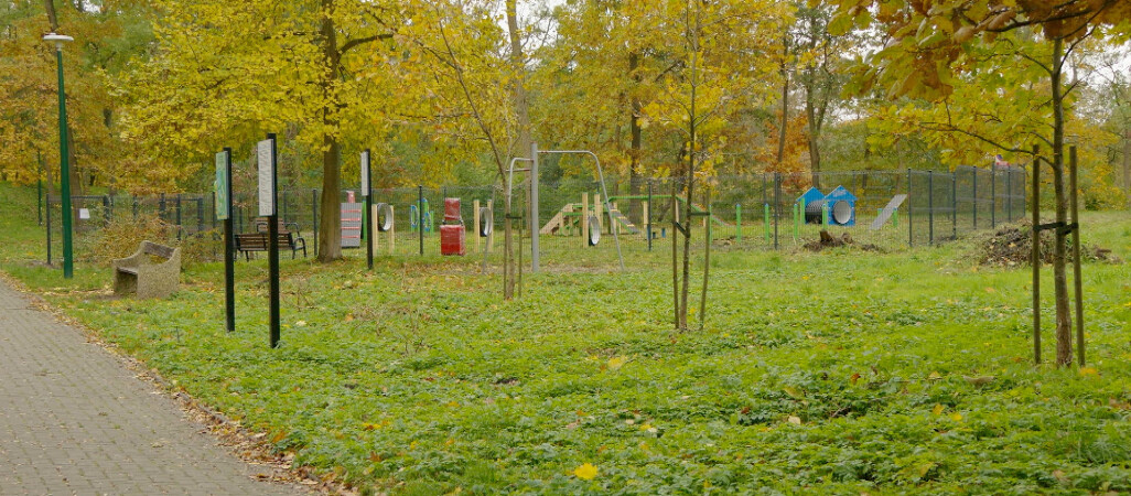 Powstał plac zabaw dla psów