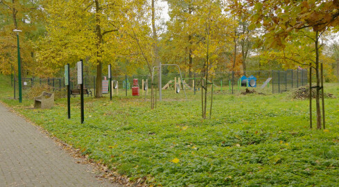 Powstał plac zabaw dla psów - grafika