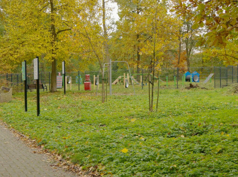 Powstał plac zabaw dla psów - grafika