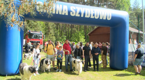Charytatywny psi spacer po Dobrzycy - grafika